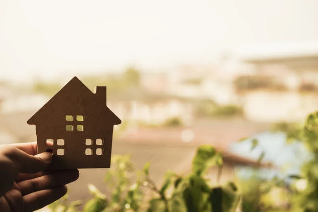 Dominica real estate program Dominica real estate program