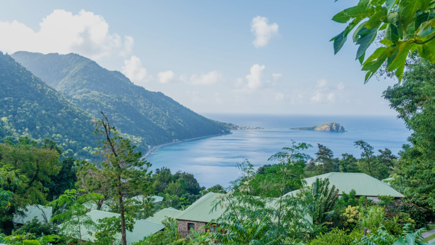 Dominica citizenship benefits 2026